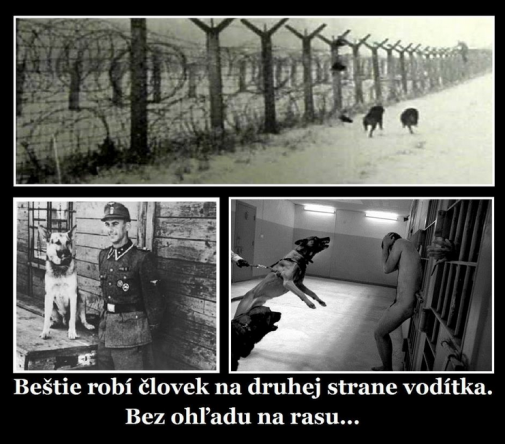 Psikovia